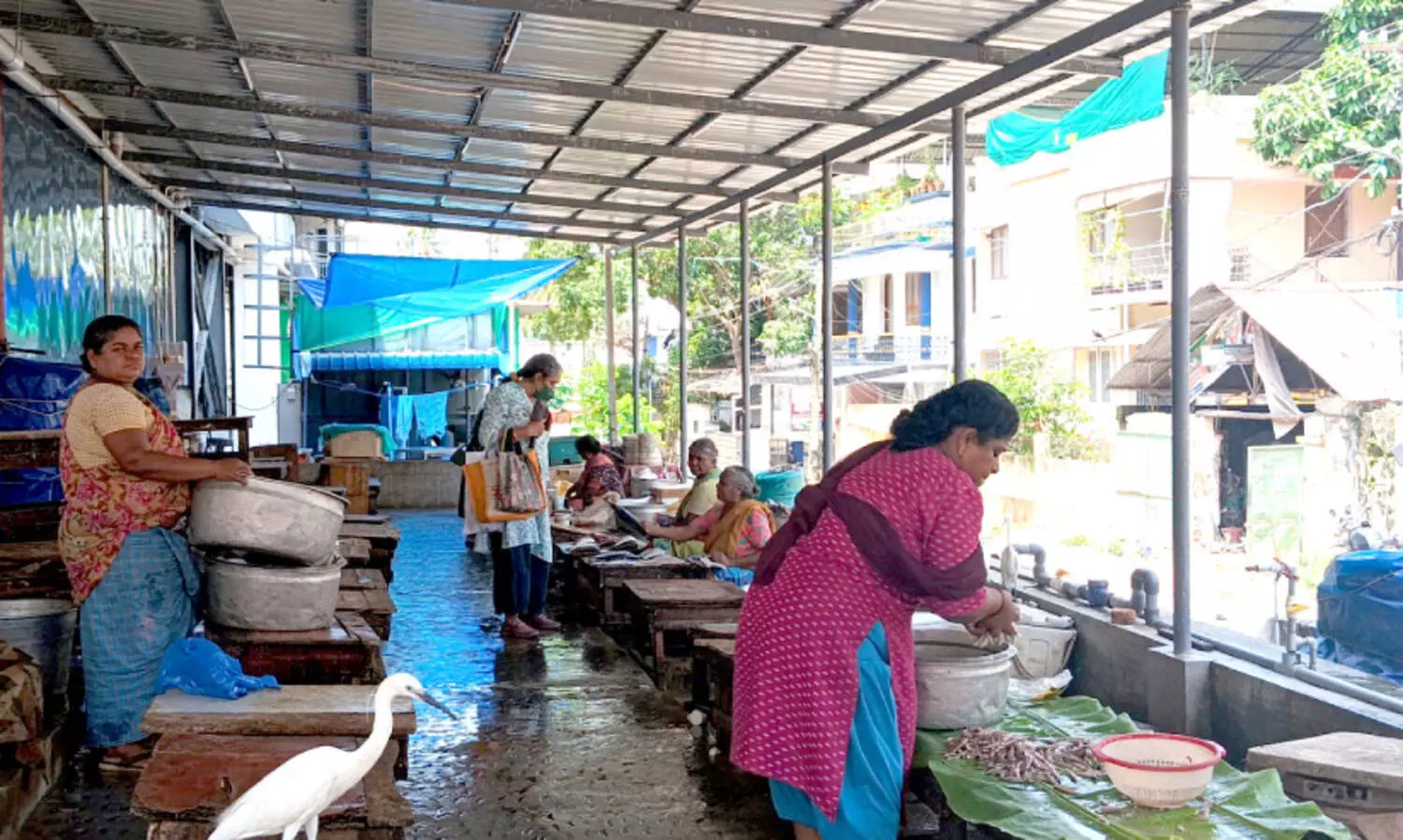 ‘വിഷ’മായി കപ്പലപകടം; പിടക്കും മീനിനും ഡിമാൻഡില്ല, മത്സ്യകച്ചവടക്കാർ ആശങ്കയിൽ