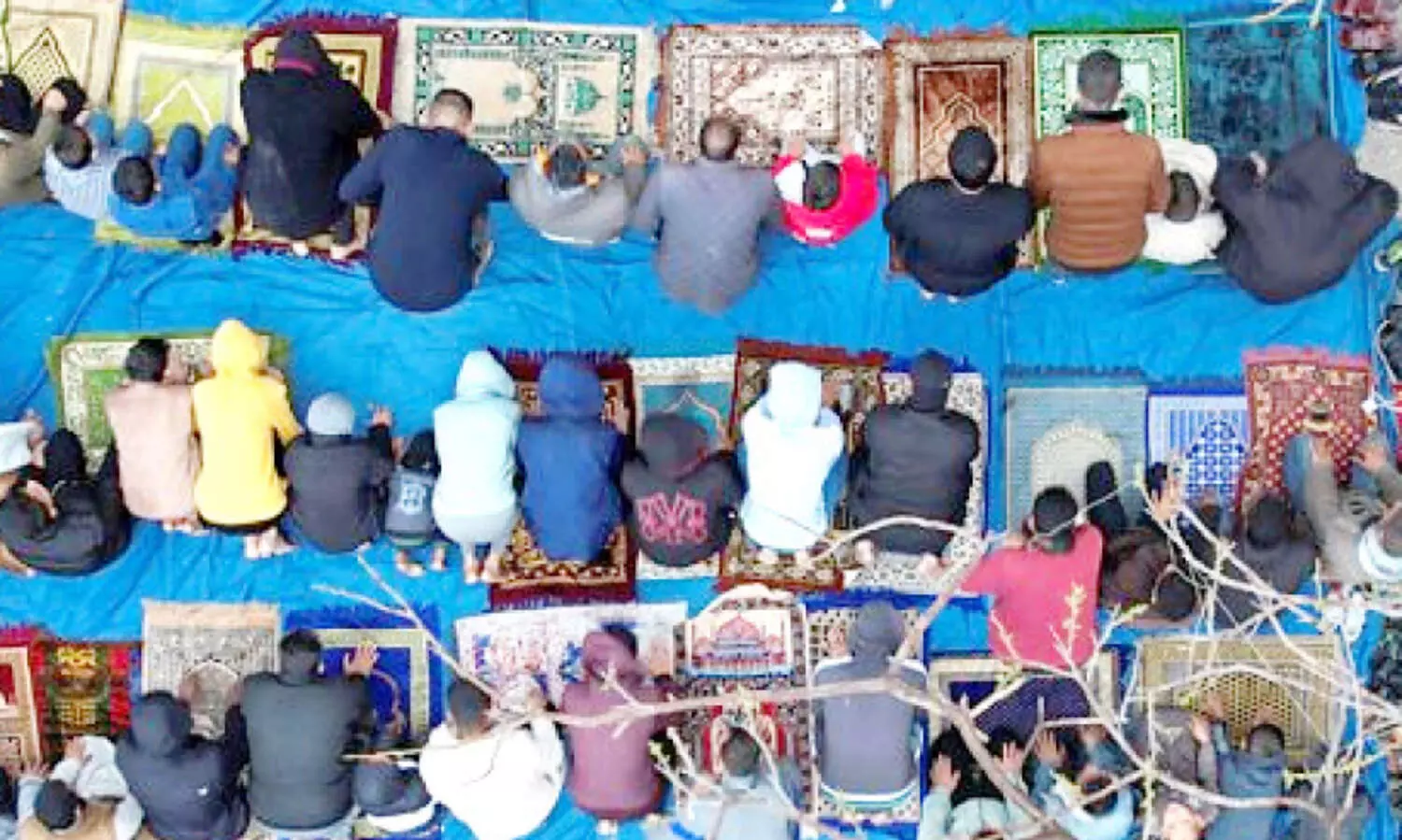 ചി​രി മാ​ഞ്ഞ ചു​ണ്ടു​ള്ള  ചി​രി​കു​ടു​ക്ക​ക​ൾ​ക്ക്