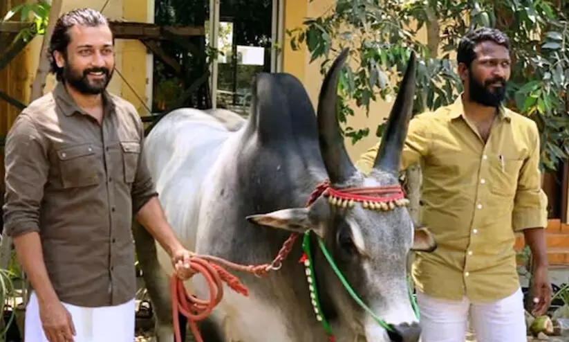 വെട്രിമാരൻ സൂര്യയോടൊപ്പമുള്ള സിനിമ ഉപേക്ഷിച്ചോ? വാടിവാസലിന് എന്ത് സംഭവിച്ചു വെട്രിമാരൻ സൂര്യയോടൊപ്പമുള്ള സിനിമ ഉപേക്ഷിച്ചോ? വാടിവാസലിന് എന്ത് സംഭവിച്ചു