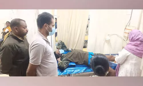 ത​രി​യോ​ട് ഭീ​തി​പ​ര​ത്തി കാ​ട്ടാ​ന​ക്കൂ​ട്ടം; വനം വാ​ച്ച​റെ ആ​ക്ര​മി​ച്ചു