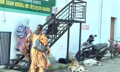 തൃക്കാക്കര നഗരസഭ പരിധിയിൽ തെരുവുനായ്​ ശല്യം രൂക്ഷം