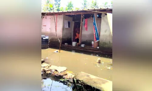 മാധവശ്ശേരി കോളനി; വെള്ളക്കെട്ടിൽ