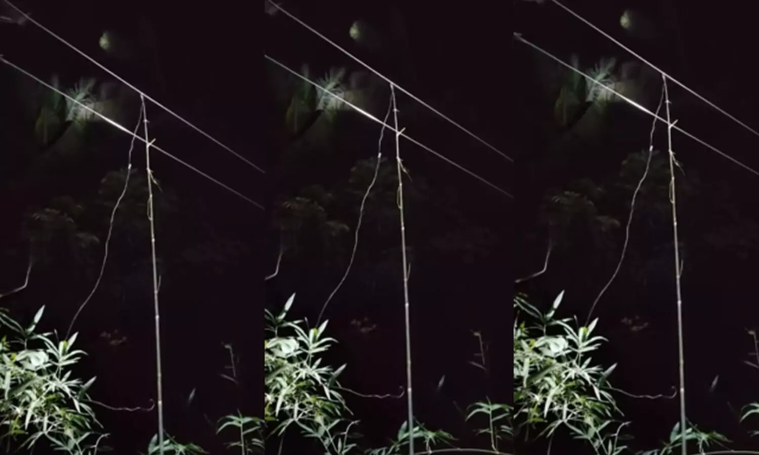 electric line 9879879