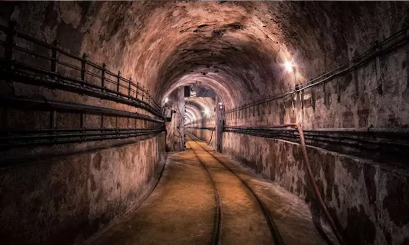 റഷ്യൻ ആക്രമണ ഭീതിയിൽ മുന്നറിയിപ്പുമായി ജർമനി; അതിവേഗ ബങ്കർ വികസിപ്പിക്കാൻ നീക്കം