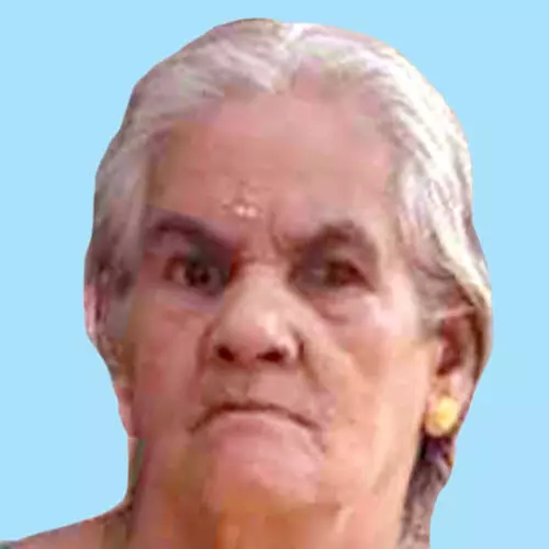 സൗ​ദാ​മി​നി​അ​മ്മ