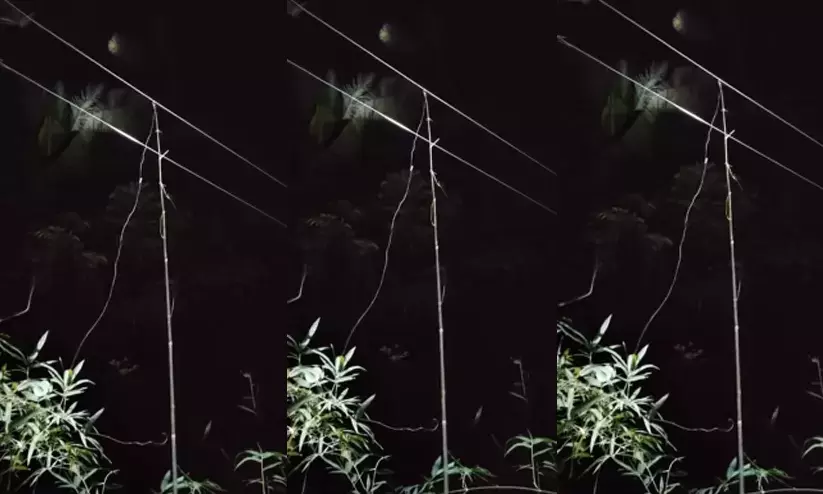 electric line 9879879