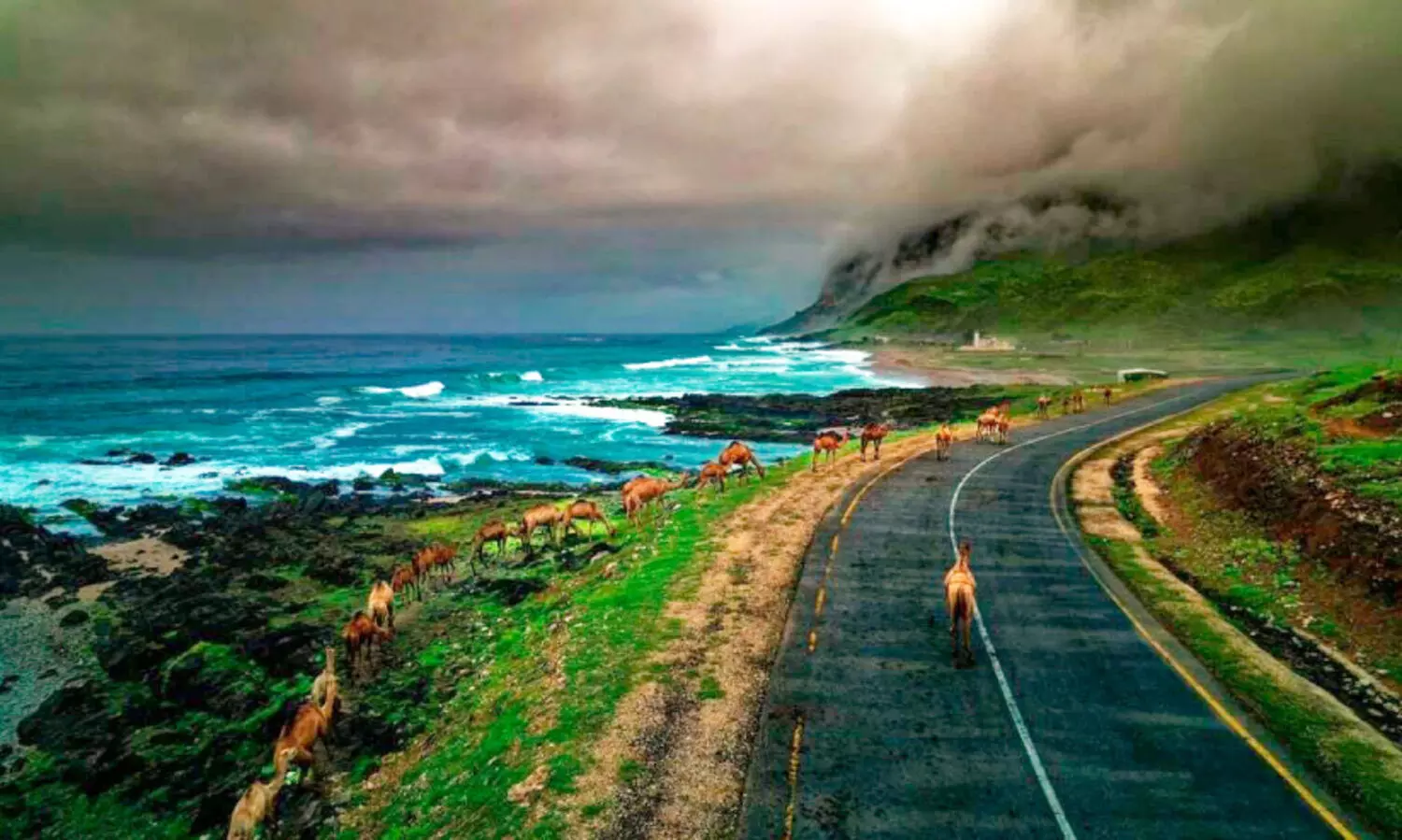 ഖ​രീ​ഫി​നാ​യി ദോ​ഫാ​ർ ഒ​രു​ങ്ങു​ന്നു