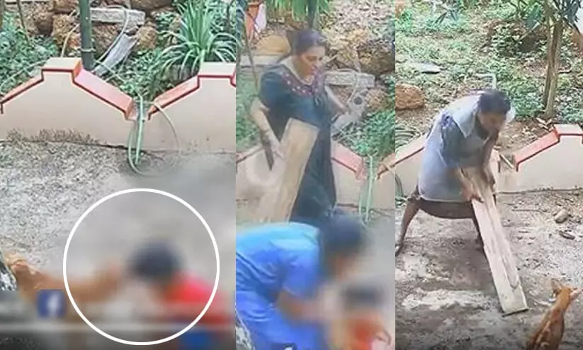 വീട്ടുമുറ്റത്ത് കളിക്കുകയായിരുന്ന നാലര വയസുകാരനെ തെരുവുനായ് ആക്രമിച്ചു, നാട്ടുകാർ നായയെ തല്ലിക്കൊന്നു, യു.കെയിൽ നിന്ന് മാതാപിതാക്കൾക്കൊപ്പം അവധിക്ക് നാട്ടിലെത്തിയതായിരുന്നു കടിയേറ്റ എഫ്രിൻ