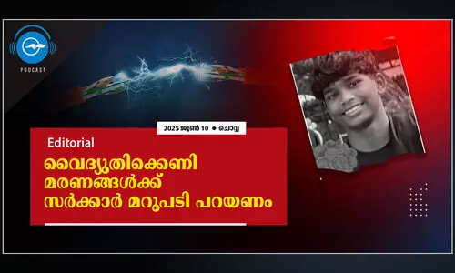 Electrocution deaths