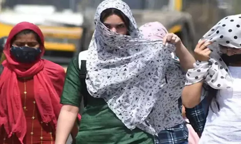 ഉഷ്ണതരംഗങ്ങൾ പതിവാകുമ്പോഴും നേരിടാൻ കർമ പദ്ധതികളില്ലാതെ ഇന്ത്യ