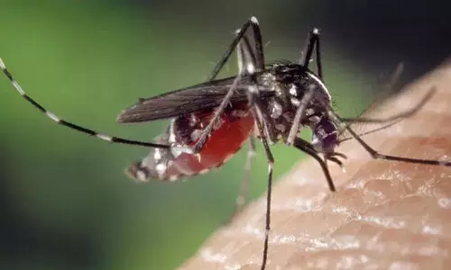 ‘ഡെങ്കിപ്പനിക്കെതിരെ ജാഗ്രത പുലർത്തണം’