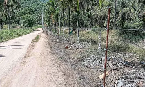 വേ​ലി​ക​ളി​ൽ ഉ​യ​ർ​ന്ന വോ​ൾ​ട്ടേ​ജി​ൽ വൈ​ദ്യു​തി ക​ട​ത്തി​വി​ടു​ന്ന​ത് വ്യാ​പ​കം