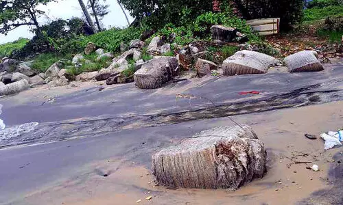 അടിഞ്ഞുകൂടിയ പഞ്ഞിക്കെട്ടുകൾ മത്സ്യബന്ധനത്തിന് തടസ്സം; പ്രതിഷേധവുമായി മത്സ്യത്തൊഴിലാളികൾ