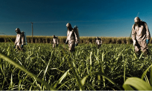 നിസാരമല്ല; ലോകം കരുതിയിരിക്കണം അഗ്രോ ടെററിസത്തെ