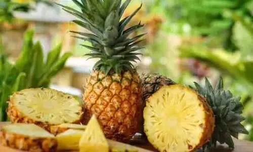 പൈനാപ്പിൾ വില ഉയരങ്ങളിലേക്ക്; ബുധനാഴ്ച വില 60ൽ എത്തി