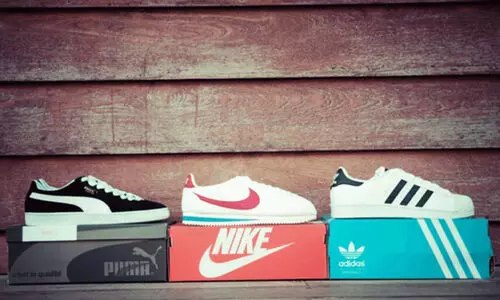 കേന്ദ്രത്തിന്റെ ഗുണനിലവാര നടപടി; നൈക്കും അഡിഡാസും ഇന്ത്യൻ വിപണിയിൽ നിന്ന് അപ്രത്യക്ഷമായേക്കും