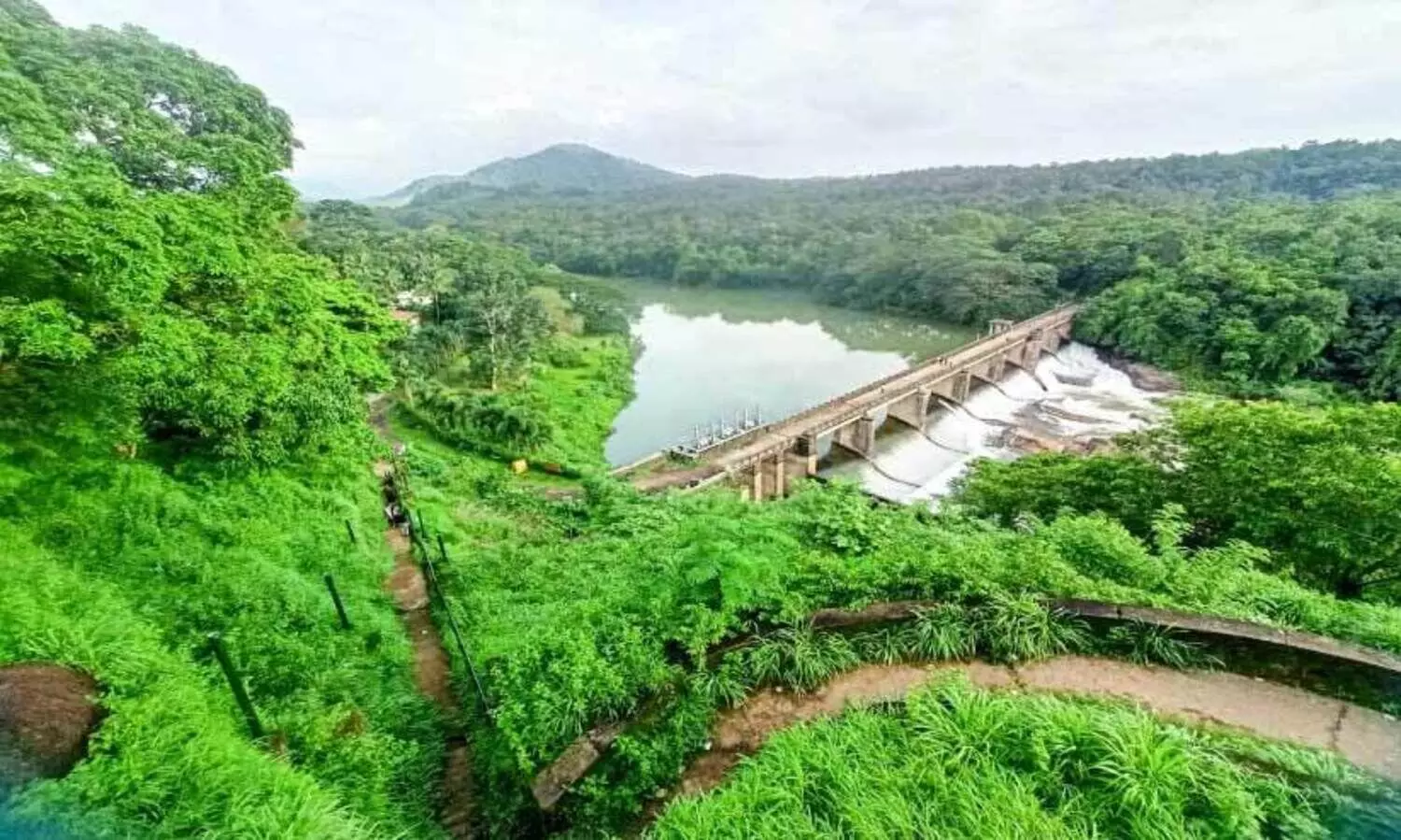 ഇഴജന്തുക്കളെ പേടിച്ച്​ വിനോദസഞ്ചാരികൾ; ഒറ്റക്കൽ ലുക്ക്​ ഔട്ട് പരിസരം കാടുമൂടി
