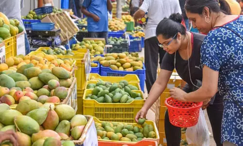 പി​ലി​ക്കു​ള വി​ക​സ​ന അ​തോ​റി​റ്റി​യു​ടെ വാ​ർ​ഷി​ക പ​ഴ​മേ​ള