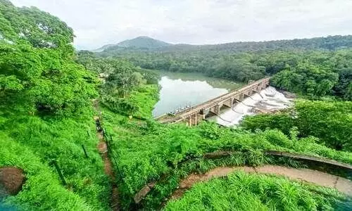 ഇഴജന്തുക്കളെ പേടിച്ച്​ വിനോദസഞ്ചാരികൾ; ഒറ്റക്കൽ ലുക്ക്​ ഔട്ട് പരിസരം കാടുമൂടി