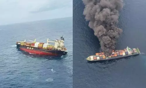 msc elsa 3, Wan Hai 503