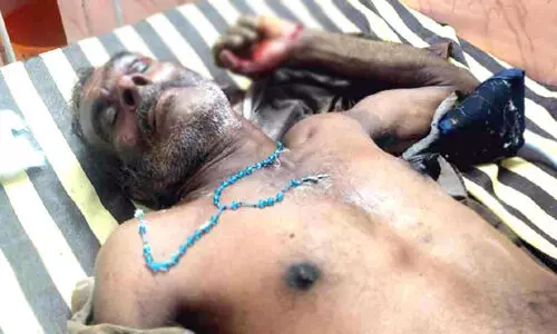 കാട്ടാന തട്ടിത്തെറിപ്പിച്ചു; തോട്ടം തൊഴിലാളിക്ക് ഗുരുതര പരിക്ക്