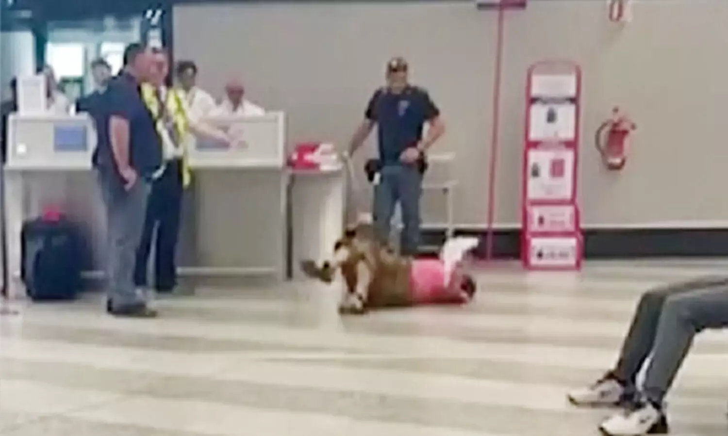 ‘മാഡം, ലഗേജ് കൂടുതലാണ്. അധിക ഭാരത്തിന് പണമടക്കണം’- ഉദ്യോഗസ്ഥർ പറഞ്ഞതേ ഓർമയുള്ളൂ; പിന്നെ നടന്നത്...വിഡിയോ