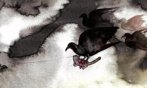 പെക്കാറ്റം