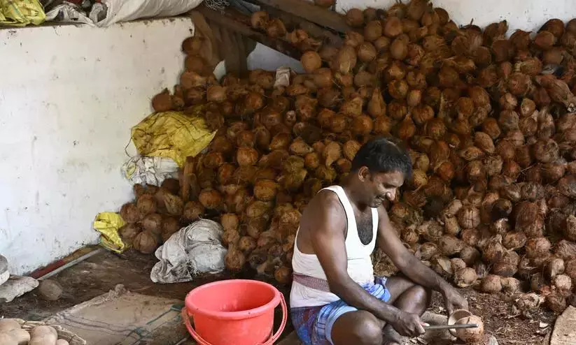 നിലംതൊടാതെ വെളിച്ചെണ്ണ വില; കൈപൊള്ളിച്ച്​ തേങ്ങയും