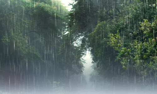 ഇരുണ്ട് വാനം, പെയ്തിറങ്ങുന്നു മഴ