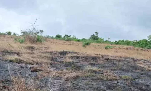 കൊച്ചി മെട്രോക്കായി മടിക്കൈയിൽ സൗരോർജ പ്ലാന്റ്