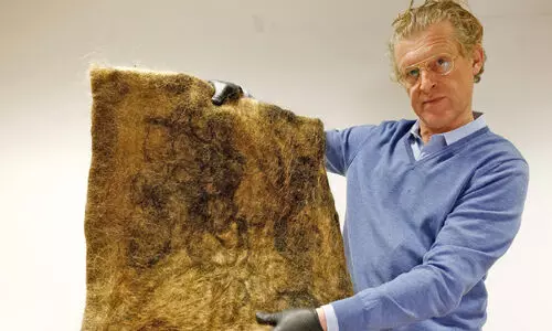 മുടിയിൽ എണ്ണയിടാം, എണ്ണയിൽ മുടിയിട്ടാലോ !