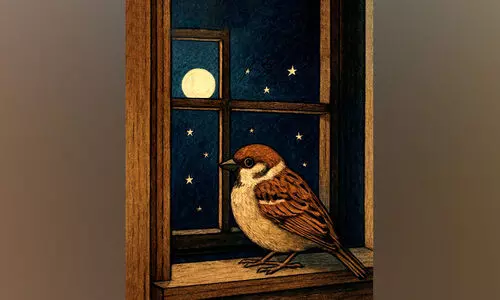 മതിപ്പ്