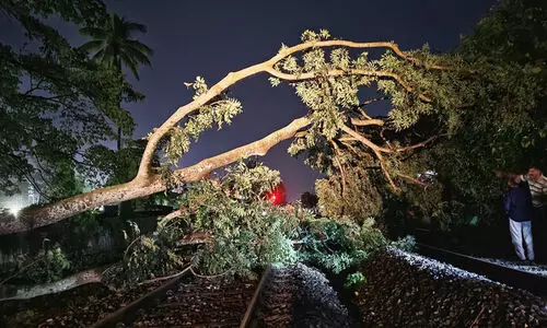 തകർത്തുപെയ്ത് മഴ, രണ്ടുമരണം; അഞ്ച് ജില്ലകളിൽ ഇന്ന് റെഡ് അലർട്ട്