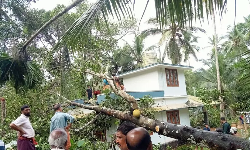 സംസ്ഥാനത്ത് അടുത്ത അഞ്ചുദിവസം വ്യാപക മഴക്ക് സാധ്യത; പടിഞ്ഞാറൻ കാറ്റ് ശക്തം, കോഴിക്കോട്ട് മിന്നൽ ചുഴലി