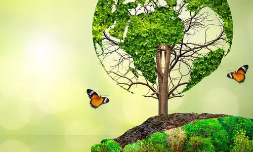 വേ​ൾ​ഡ് മ​ല​യാ​ളി ഫെ​ഡ​റേ​ഷ​ൻ പ​രി​സ്ഥി​തി ​മാ​സാ​ച​ര​ണം