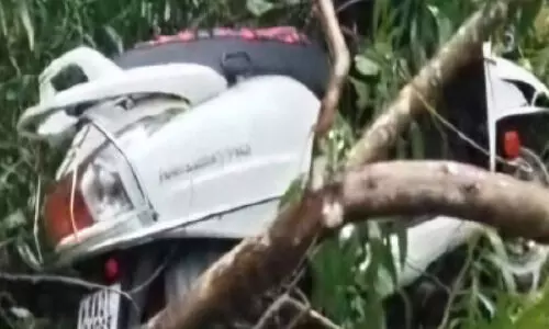 ഓ​ടു​ന്ന സ്കൂ​ട്ട​റി​ന് മു​ക​ളി​ൽ മ​രം വീ​ണു