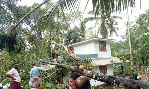 സംസ്ഥാനത്ത് അടുത്ത അഞ്ചുദിവസം വ്യാപക മഴക്ക് സാധ്യത; പടിഞ്ഞാറൻ കാറ്റ് ശക്തം, കോഴിക്കോട്ട് മിന്നൽ ചുഴലി