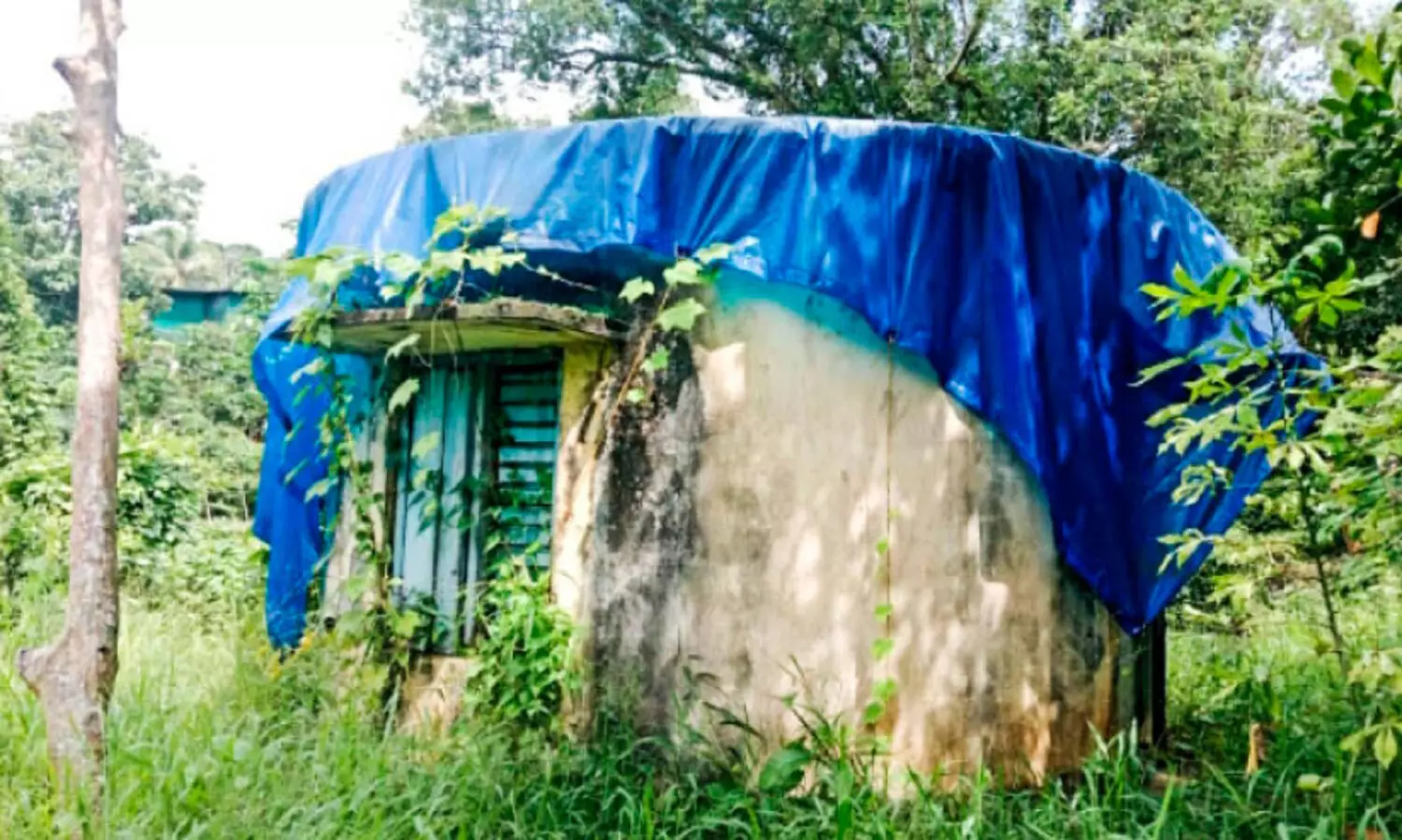 അ​നാ​സ്ഥ​യു​ടെ ബാ​ക്കി​പ​ത്ര​ം; ഏതുനിമിഷവും വീഴാം, ഈ പമ്പ്​ ഹൗസ്