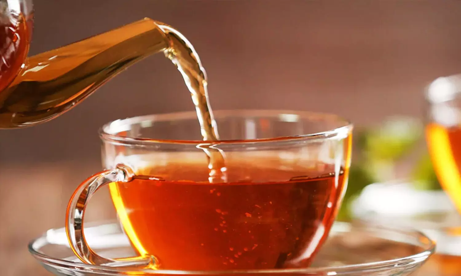 Kannur Tea
