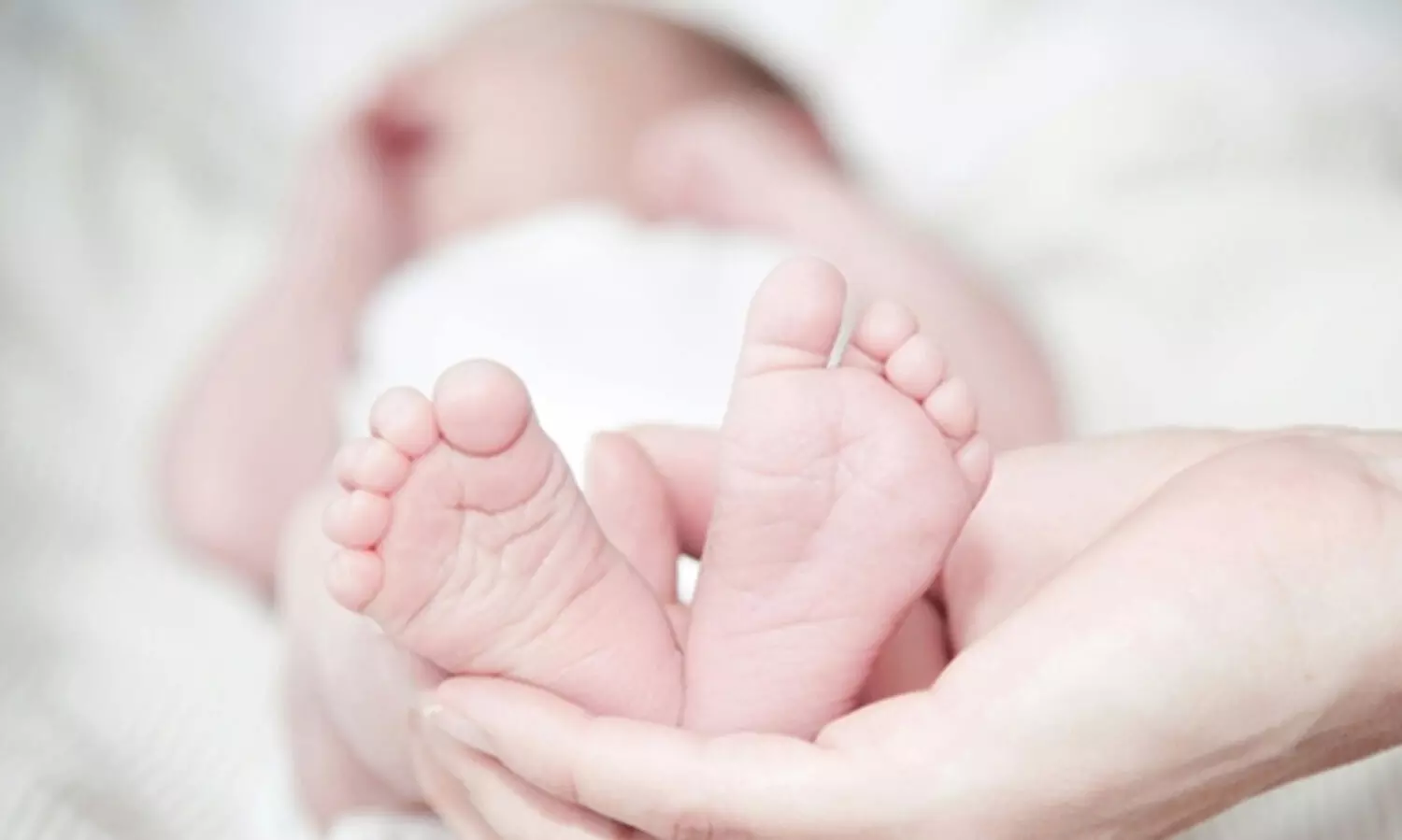 ഇലവുംതിട്ടയിൽ നവജാതശിശുവിന്റെ മൃതദേഹം കുറ്റിക്കാട്ടിൽ; അവിവാഹിതയായ യുവതി നിരീക്ഷണത്തിൽ