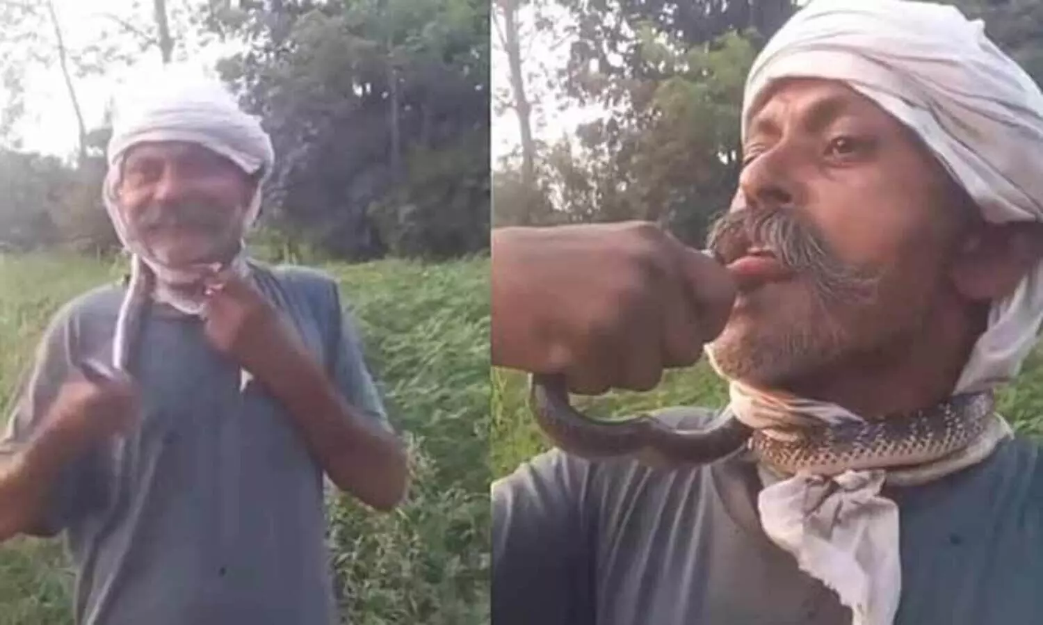 റീൽസ് വൈറലാകാൻ പാമ്പിനെ ചുംബിച്ചു; നാവിന് കടിയേറ്റ യുവാവ് ഗുരുതരാവസ്ഥയിൽ