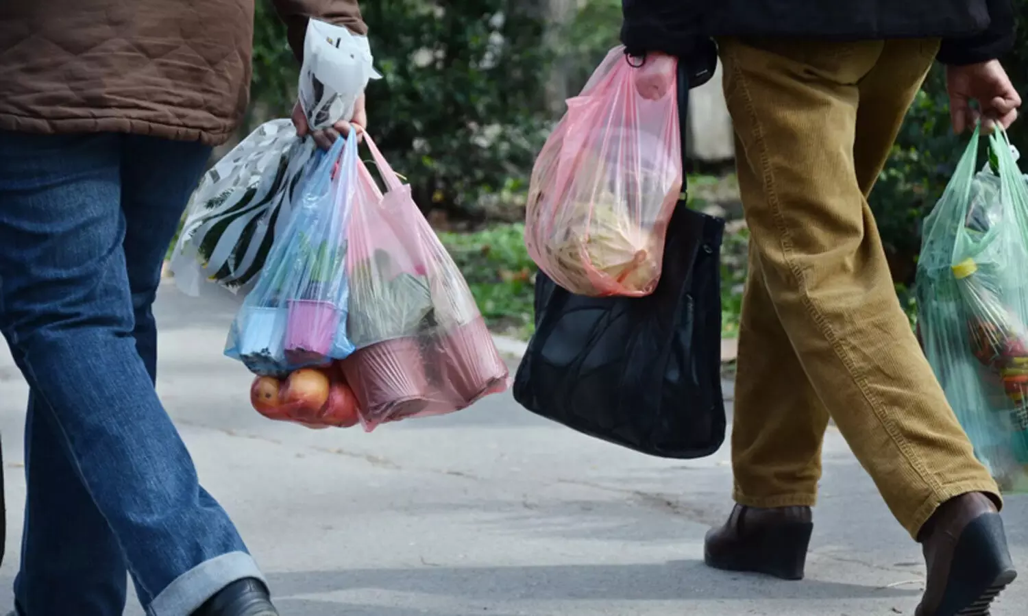 പ്ലാസ്റ്റിക്കിന് വിലക്കുമായി ഹൈകോടതി; മലയോര വിനോദ കേന്ദ്രങ്ങളിലും വിവാഹമടക്കമുള്ള പൊതുചടങ്ങുകളിലും ഒറ്റത്തവണ ഉപയോഗിക്കുന്ന പ്ലാസ്റ്റിക്കിന് നിരോധനം