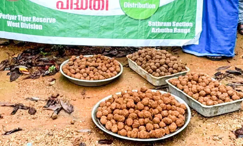 വ​ന്യ​മൃ​ഗ​ങ്ങ​ൾ​ക്ക്​ കാ​ട്ടി​നു​ള്ളി​ൽ തീ​റ്റ വി​ത്തു​ണ്ട​ക​ൾ എ​റി​ഞ്ഞ് വ​നം​വ​കു​പ്പ്