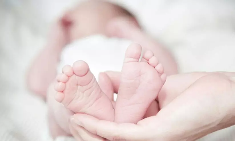 ഇലവുംതിട്ടയിൽ നവജാതശിശുവിന്റെ മൃതദേഹം കുറ്റിക്കാട്ടിൽ; അവിവാഹിതയായ യുവതി നിരീക്ഷണത്തിൽ