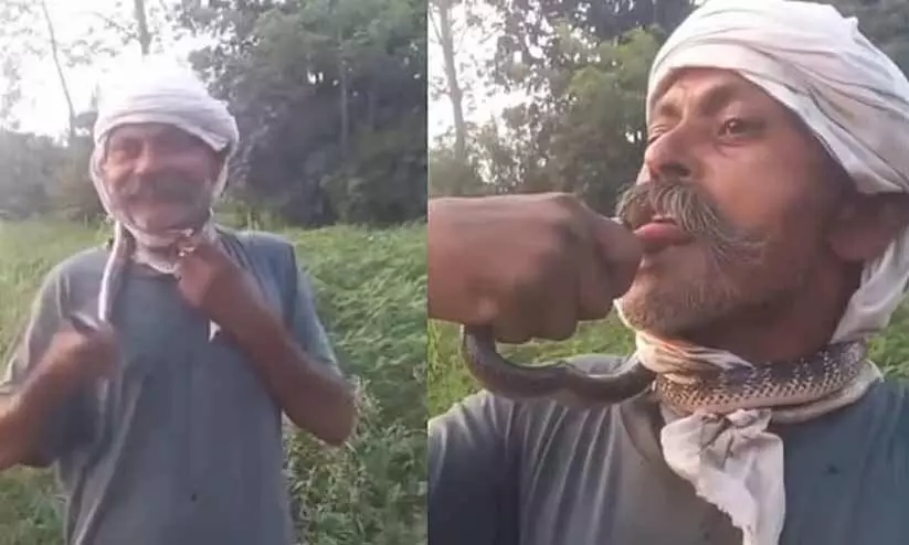 റീൽസ് വൈറലാകാൻ പാമ്പിനെ ചുംബിച്ചു; നാവിന് കടിയേറ്റ യുവാവ് ഗുരുതരാവസ്ഥയിൽ