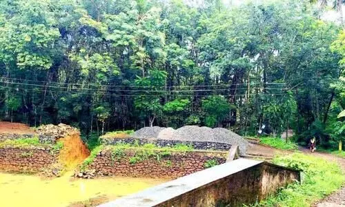 വഴുതോട്ടുകോണം കുളത്തിന് ശാപമോക്ഷമായില്ല; പരാതി നൽകിയിട്ടും നടപടിയെടുക്കാതെ അധികൃതർ വഴുതോട്ടുകോണം കുളത്തിന് ശാപമോക്ഷമായില്ല; പരാതി നൽകിയിട്ടും നടപടിയെടുക്കാതെ അധികൃതർ