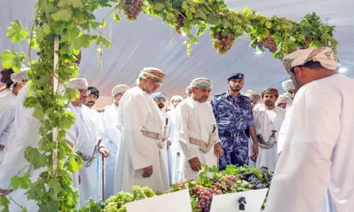 വ​ട​ക്ക​ൻ ശ​ർ​ഖി​യ  മു​ന്തി​രി ഫെ​സ്റ്റി​വ​ലി​ന് തു​ട​ക്കം