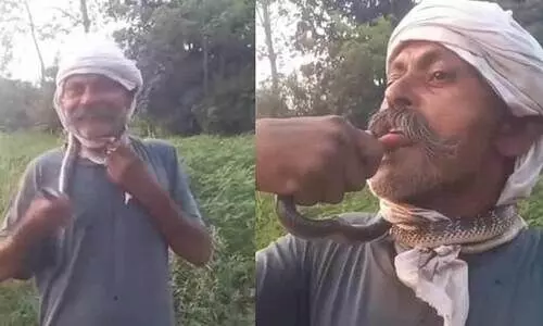 റീൽസ് വൈറലാകാൻ പാമ്പിനെ ചുംബിച്ചു; നാവിന് കടിയേറ്റ യുവാവ് ഗുരുതരാവസ്ഥയിൽ