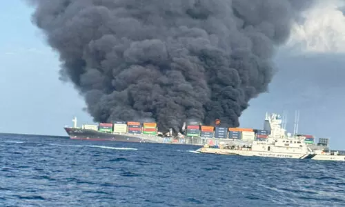 സ്ഫോടകവസ്തു ഉപയോഗിച്ച് മനുഷ്യജീവന് അപകടം ഉണ്ടാക്കി, വിഷപദാർഥങ്ങൾ അശ്രദ്ധയോടെ കൈകാര്യം ചെയ്തു; തീപിടിച്ച കപ്പലിന്റെ ഉടമക്കും ക്യാപ്റ്റനും ജീവനക്കാർക്കും എതിരെ കേസ്