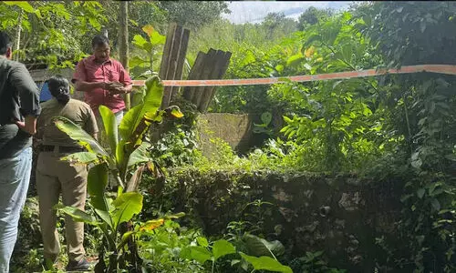 ചേമ്പിലയിൽ പൊതിഞ്ഞ് കുഞ്ഞിന്റെ മൃതശരീരം അയൽ വീടിന്റെ പരിസരത്ത് വെച്ചത് താൻ തന്നെ​യെന്ന് അമ്മയുടെ മൊഴി; പത്തനംതിട്ടയിൽ നവജാതശിശുവിന്റെ മൃതദേഹം കണ്ടെത്തിയ സംഭവത്തിൽ വഴിത്തിരിവ്